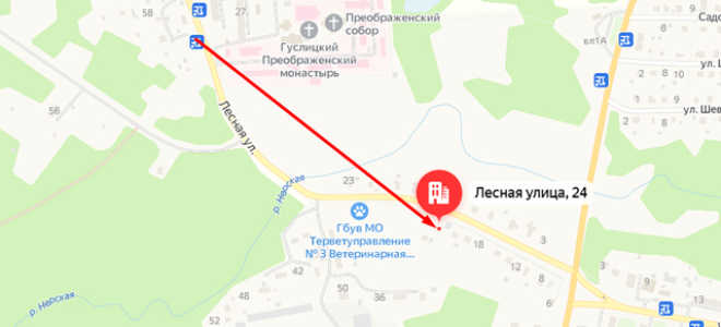Добрый дом «Куровской»